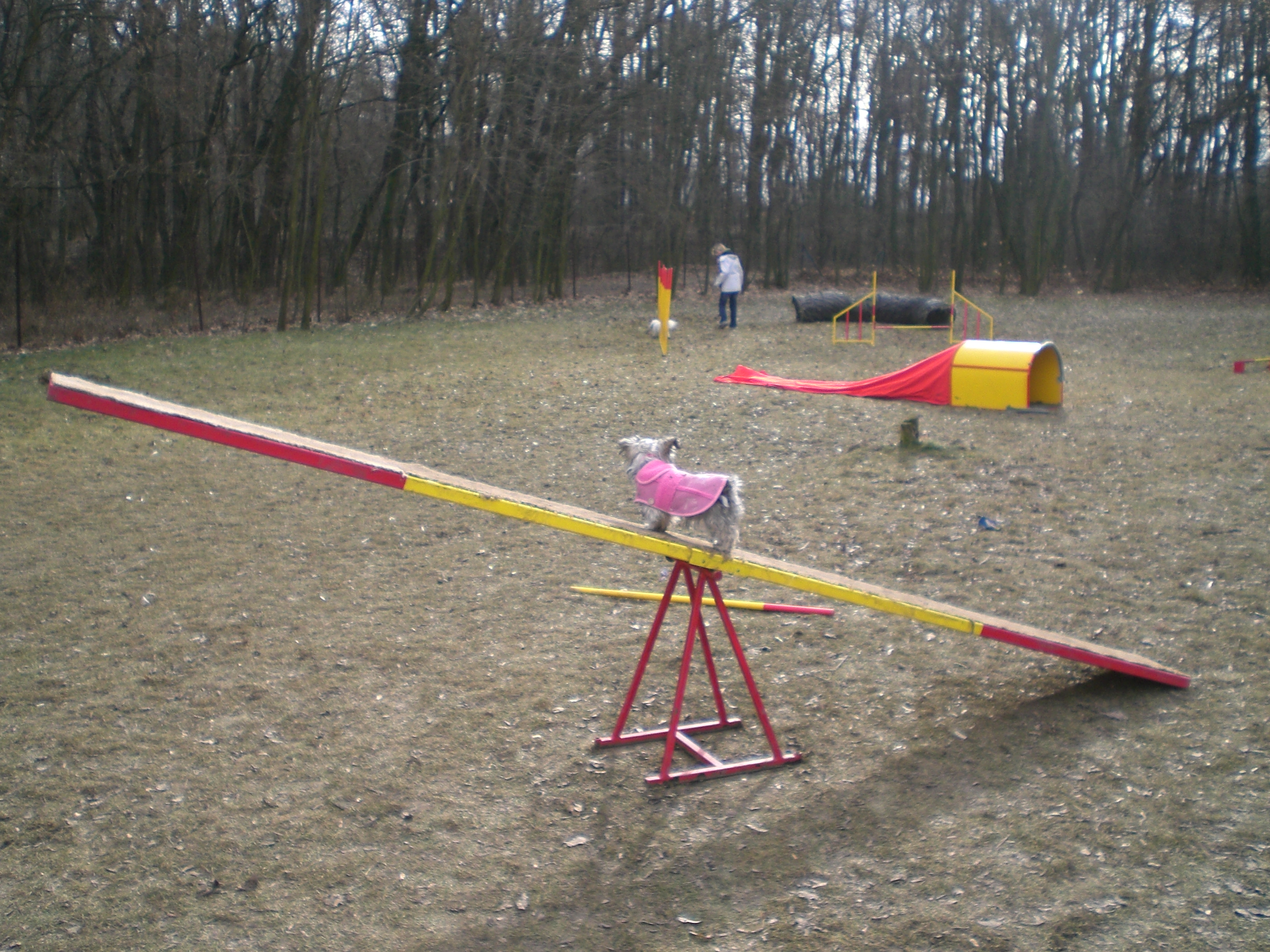 heidi závody 078.jpg