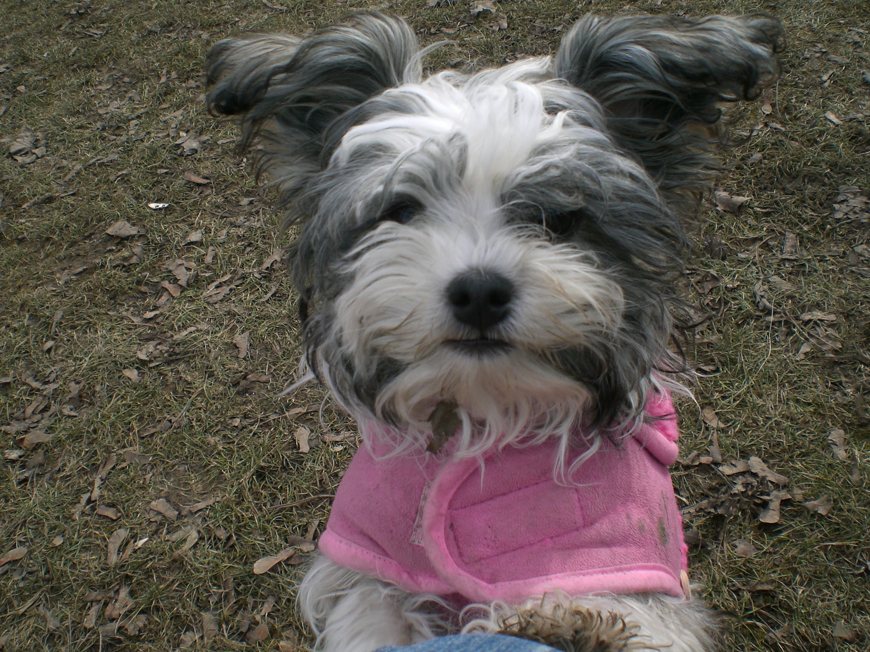 heidi závody 090.jpg